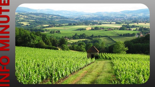 Geopark Beaujolais - Candidature validée