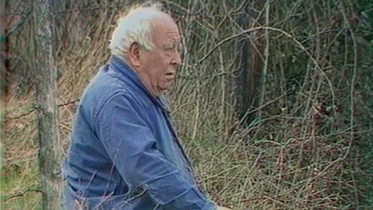 Louis Brechard, vigneron beaujolais