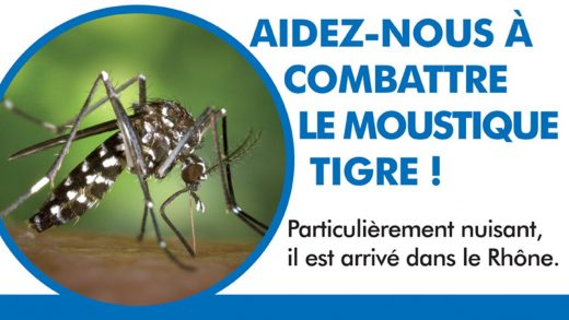 Rhône-lutte-moustique-tigre