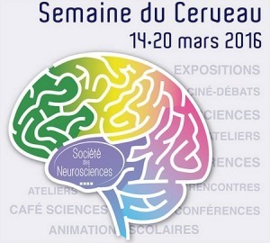 Semaine du Cerveau