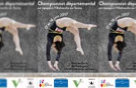 Gala de gymnastique artistique 2013 des Hirondelles de villefranche