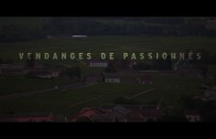 Les Fêtes du Beaujolais Nouveau 2019 à Villefranche-sur-Saône
