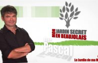 Mon Jardin Secret en Beaujolais #8 – Le Jardin de ma Mère