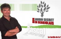 Mon Jardin Secret en Beaujolais #7 – Le Jardin de la Tour