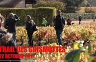 Trail des Grisemottes 2017