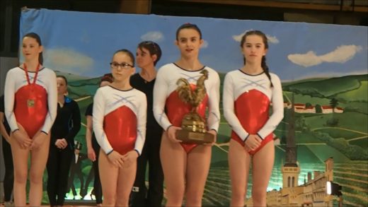 Gym – Gala 2018 des hirondelles de Villefranche