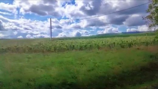 Journée dans le Beaujolais